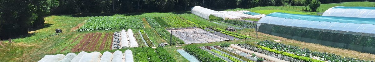 Bilan de fin de saison au Haras de Rodez