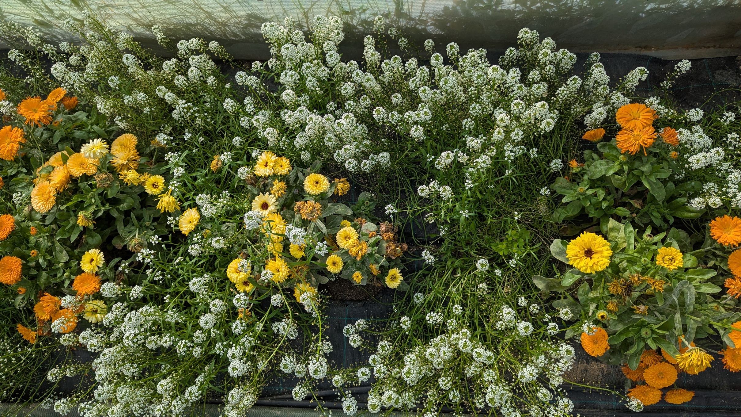 Auto-Construction sonde Capacitive Pilowtech