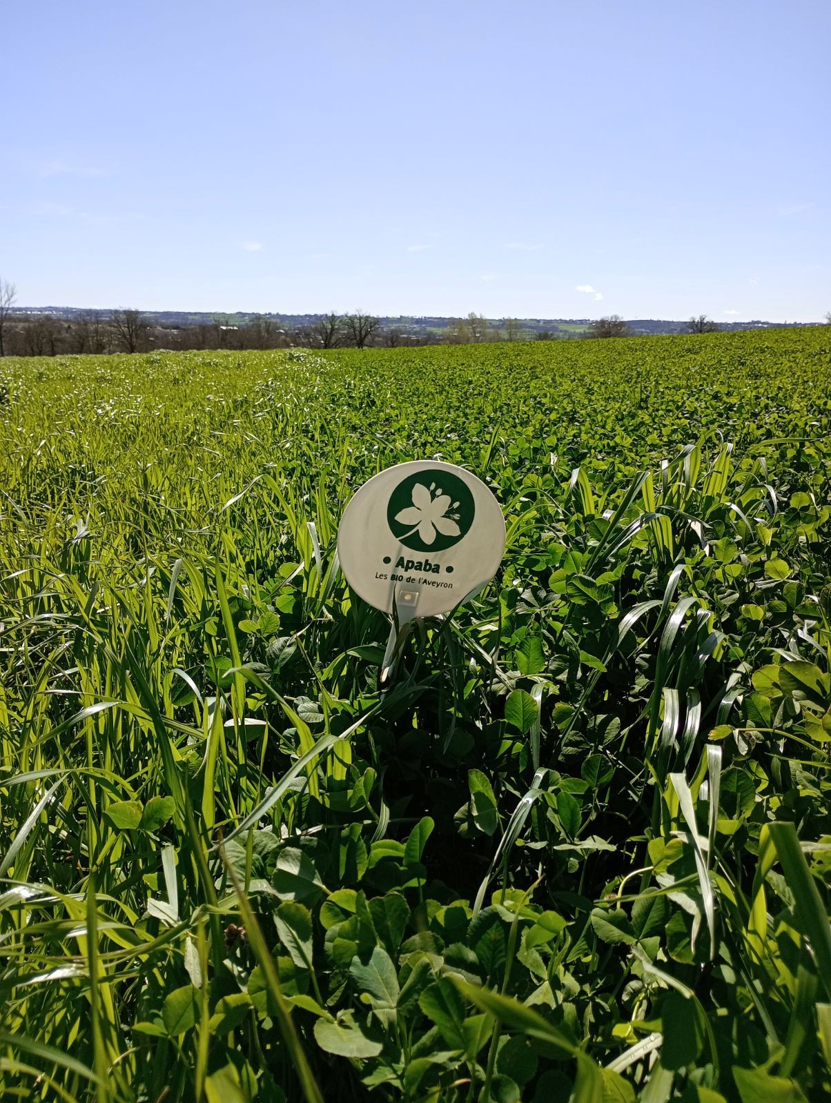 Restaurer la fertilité des sols en élevage